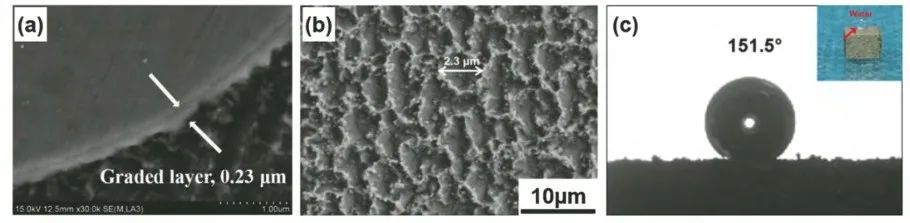 1676452992991980.jpg t6.jpg