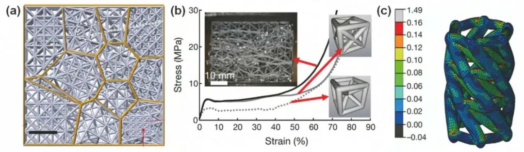 1676453079286772.jpg t11.jpg