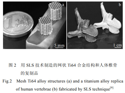 1678434514662158.jpg t2.jpg